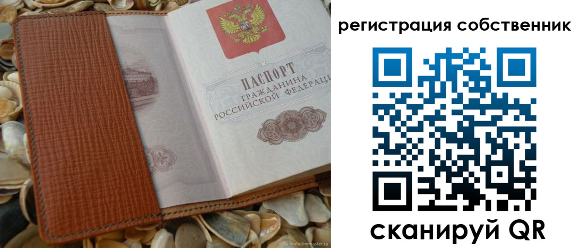 временная регистрация для школы в Камчатской области